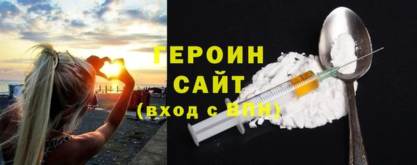 индика Богородицк