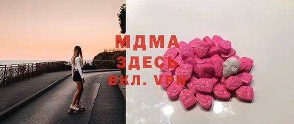 индика Богородицк